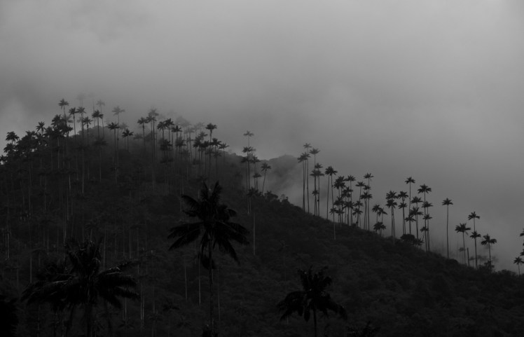 DSC_6894 edit raw B+W