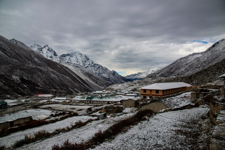 49556472142_ebc7b1a7ba_o